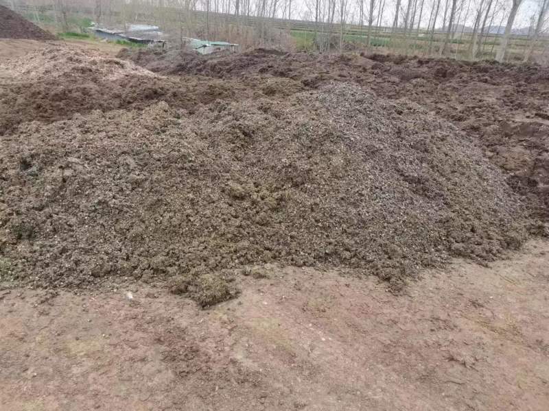 【鸡粪】山东泰安基地直供质量保证一手货源量大优惠