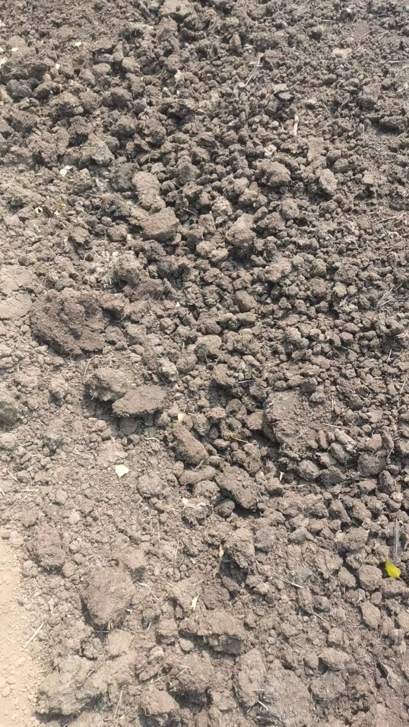 【鸡粪】山东泰安基地直供质量保证一手货源量大优惠