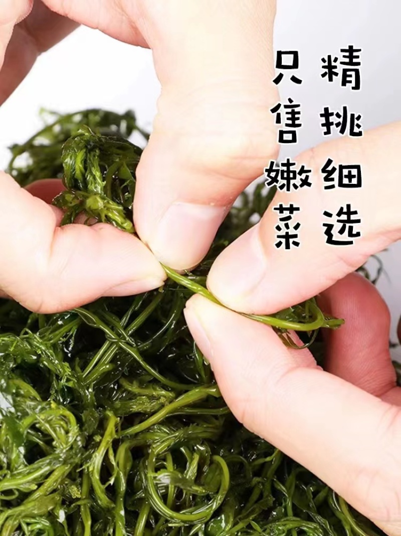 鞭炮笋/羊栖菜/长寿菜/马尾藻凉拌火锅食材