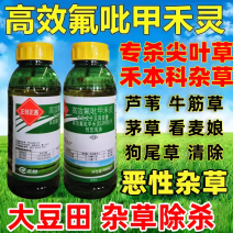 正创正盖高效氟吡甲禾灵大豆田芦苇牛筋草狗尾草恶性杂草除草