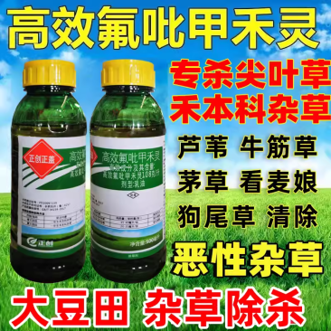 正创正盖高效氟吡甲禾灵大豆田芦苇牛筋草狗尾草恶性杂草除草