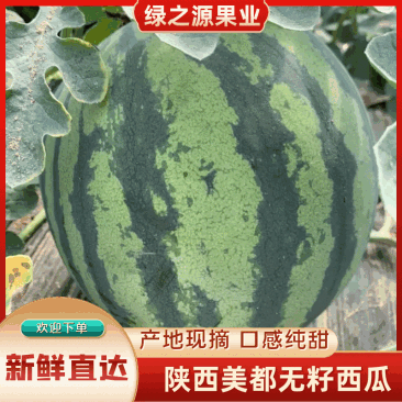 【精品美都】万亩基地皮薄多汁糖度12.5价格优惠