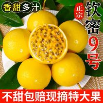 【可零售】精品黄金百香果饮蜜9号爆汁口感酸甜