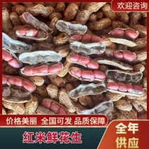 广东红米鲜花生四粒红米花生口感香甜产地直发