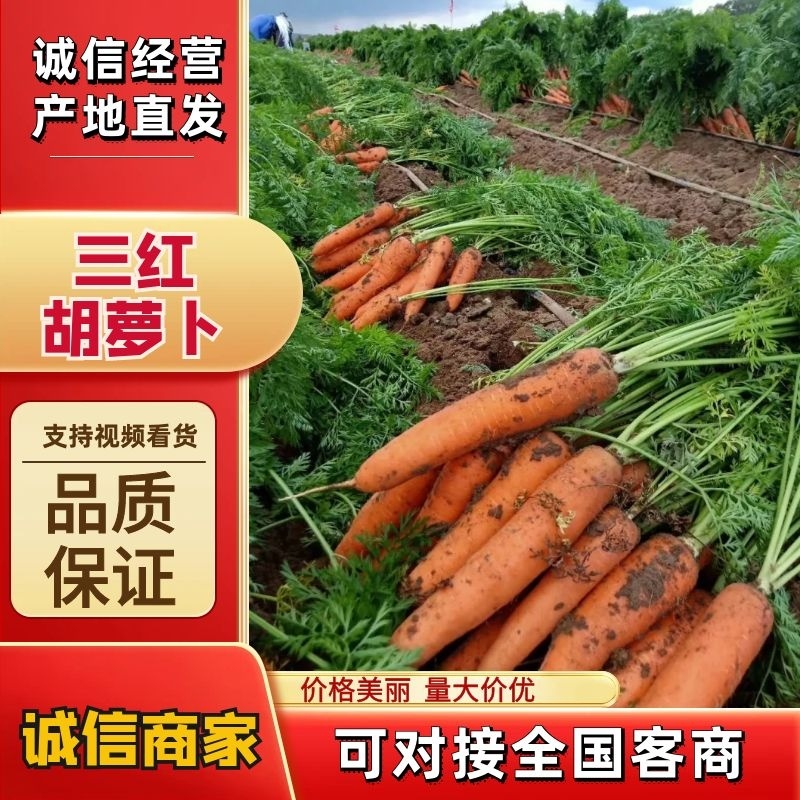 电商市场超市精品红萝卜，土货，水洗中条，精品箱子，小条…