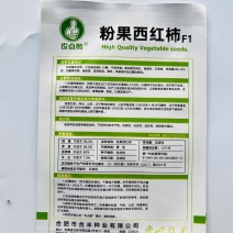 西红柿种子，番茄种子，（22）粉果西红柿种子100粒