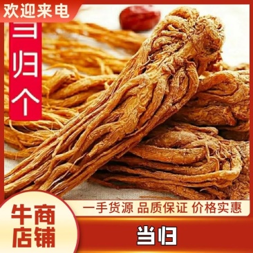 岷当归岷县当归地道中药材泡酒泡茶炖汤（干货包邮）