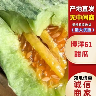 博洋61博洋9现摘现发可供应各大市场电商社区团购