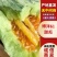博洋61博洋9现摘现发可供应各大市场电商社区团购