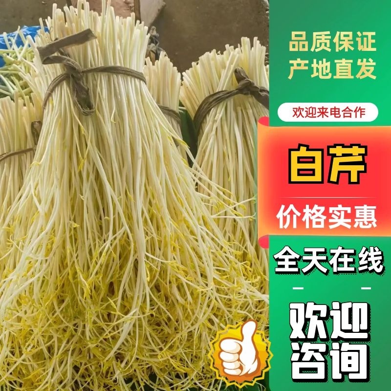 江苏本地白芹对接电商市场商超等各类客户