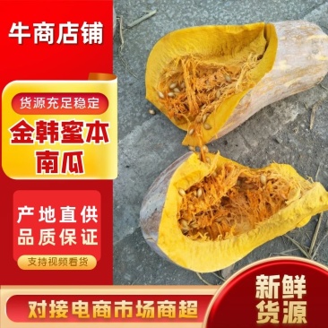 老南瓜湖北金韩密本南瓜产地货源专业南瓜代办