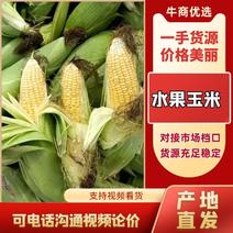 安徽芜湖水果玉米价格随行就市量大从优
