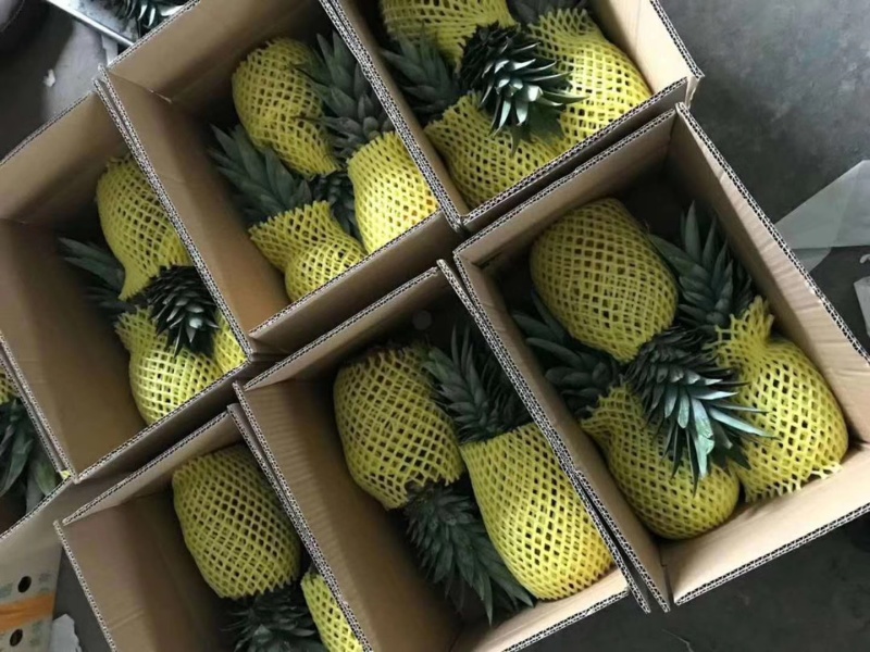 西双版纳金钻凤梨无眼菠萝商超精品市场果电商一件代发