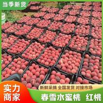 【热卖中】春雪水蜜桃红毛桃蒙阴红桃可批发一件代发果园直发