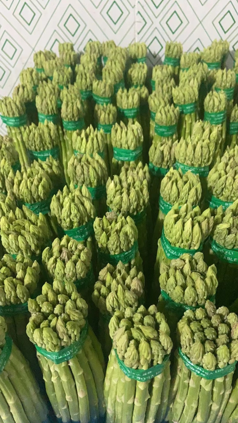 大棚青芦笋一二三级。全青。可定制代发量大质优价格优惠