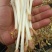【推荐】湖北本地花生芽,芽苗菜,产地直发质量保证欢迎电联