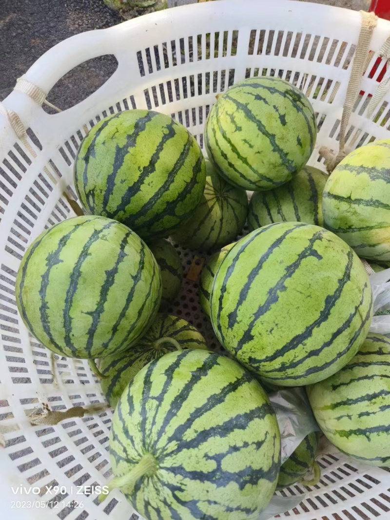 美都西瓜湖北新鲜水果批发价无磕碰口感甜瓜形好看产地直发