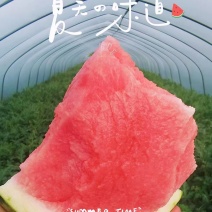 【可甜可甜】湖北本地西瓜美都西瓜实力代办电商市场商超