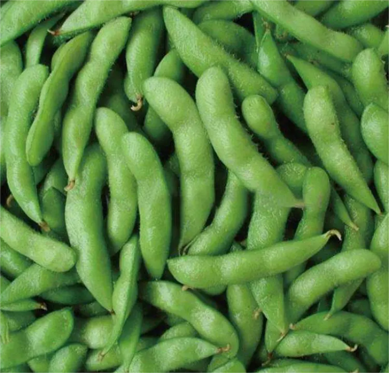 【热卖】精品毛豆湖北绿宝石毛豆直发保质保量欢迎合作