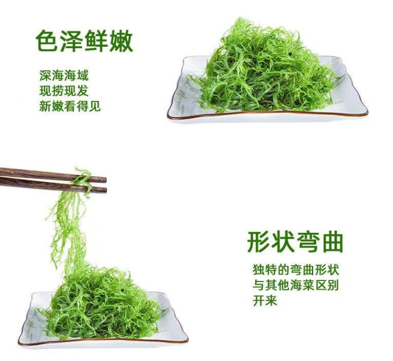 霞浦产地直发龙须菜资质齐全凉拌菜天然海草鲜脆爽口
