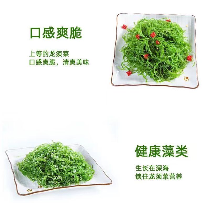 霞浦产地直发龙须菜资质齐全凉拌菜天然海草鲜脆爽口