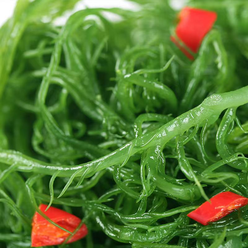 霞浦产地直发龙须菜资质齐全凉拌菜天然海草鲜脆爽口