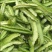 四棱豆种子四角豆龙豆结果强春秋种植早熟芽率高