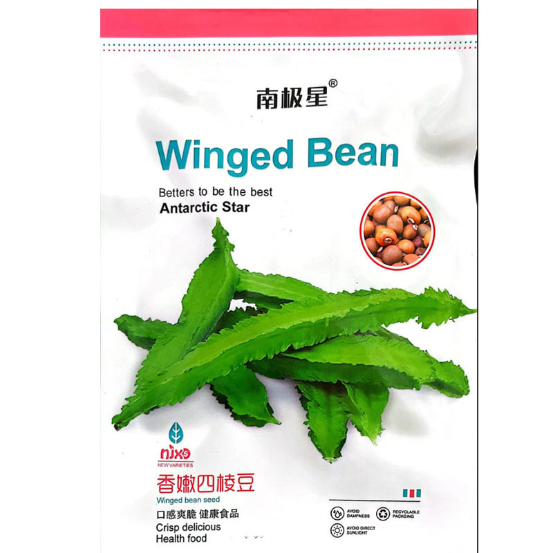 四棱豆种子四角豆龙豆结果强春秋种植早熟芽率高