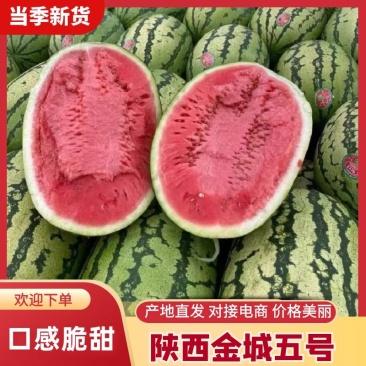 宁夏兴仁金花六大量上市质量三包欢迎前来采购