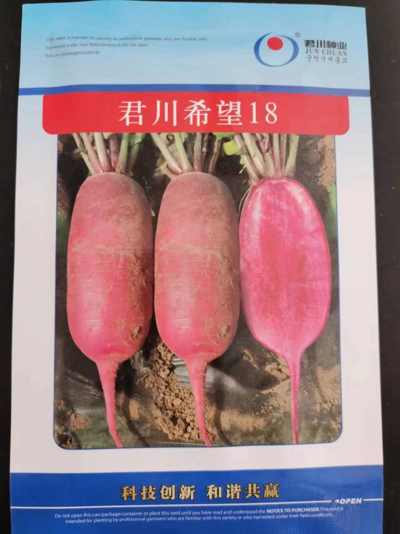 红星全季韩玉109君川格雅希望18水果萝卜