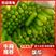 河南焦作精品瓠瓜大量上市，颜色油绿肉多嫩鲜基地直供