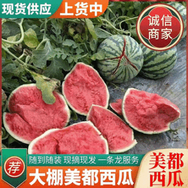 《美都西瓜》农户自家种植大棚头茬瓜包熟包甜随到随装