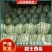 内蒙甜王西瓜，货量足，规格齐全，可视频看货选货