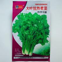 香菜种子（4）大叶抗热香菜种子，40g