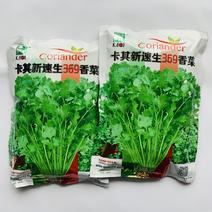 香菜种子（10）卡其新速生369香菜种子，500g