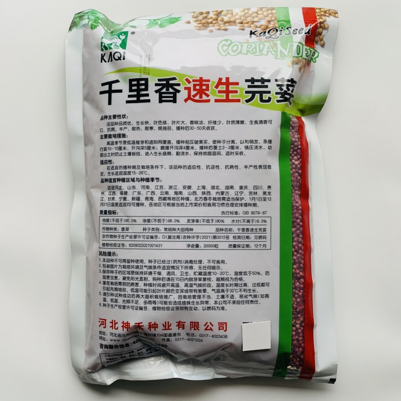 香菜种子（11）千里香速生芫荽，香菜种子，500g