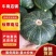 板栗南瓜，口感好，干，面，甜。质量好……