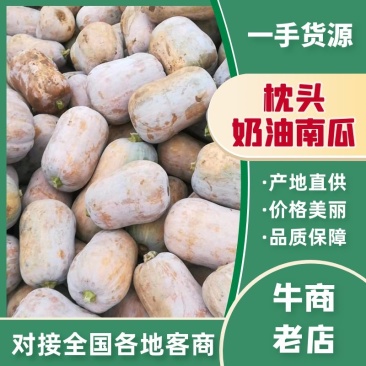 枕头南瓜，口感，干，面，甜，个头二至四斤