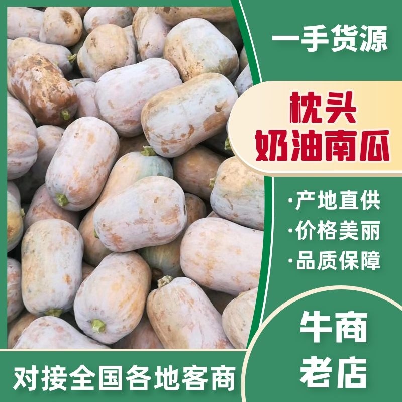 枕头南瓜，口感，干，面，甜，个头二至四斤