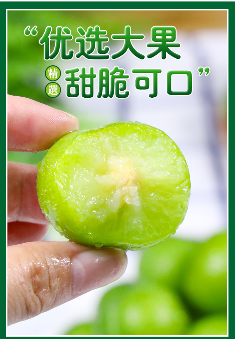 脱骨李一件代发四川青脆李空心青皮李子新鲜水果
