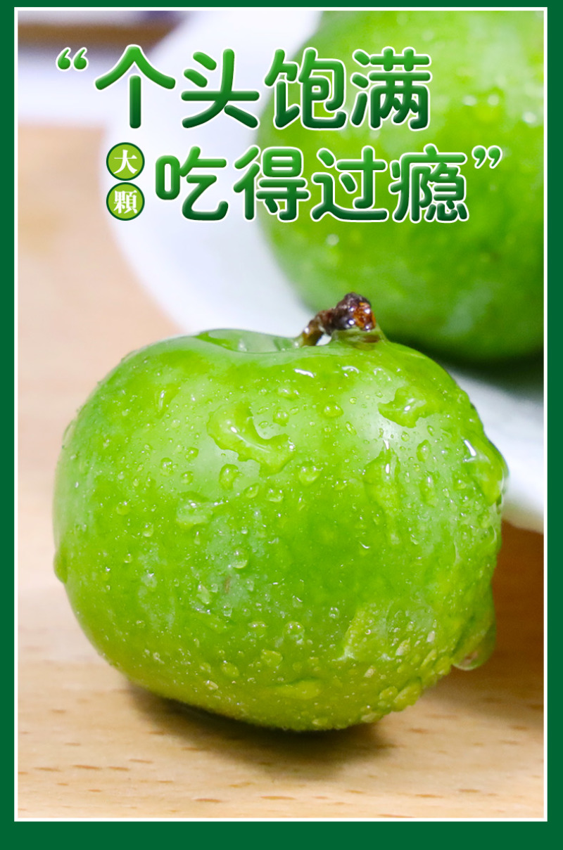 脱骨李一件代发四川青脆李空心青皮李子新鲜水果