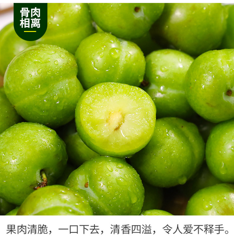 脱骨李一件代发四川青脆李空心青皮李子新鲜水果
