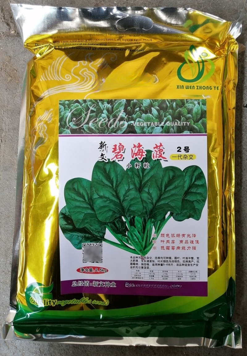 碧海菠2号菠菜种子5斤原装圆叶浓绿宽大肥厚抗病耐抽