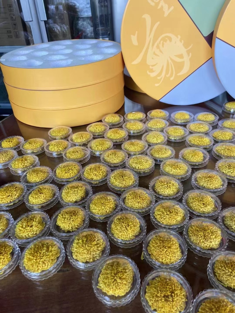 贡菊菊花茶金丝皇菊量大质优价格优惠欢迎咨询采购