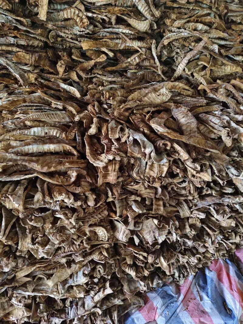 精品笋干烟笋干大量供应厂家直发货源充足量大从优