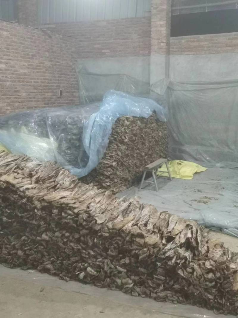 精品笋干烟笋干大量供应厂家直发货源充足量大从优
