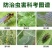 31%阿维·灭蝇胺斑潜蝇蝇蛆鬼画符地图虫潜叶蝇农药杀虫剂