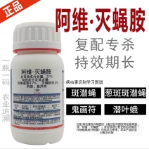 31%阿维·灭蝇胺斑潜蝇蝇蛆鬼画符地图虫潜叶蝇农药杀虫剂