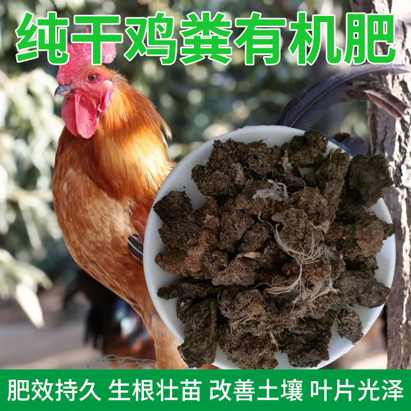 绿沃肥业-晒干纯鸡粪块水泥地晾晒无土无杂肥效好