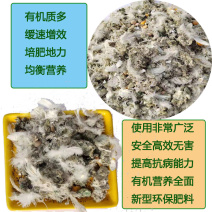 绿沃肥业-晒干纯鸡粪块水泥地晾晒无土无杂肥效好
